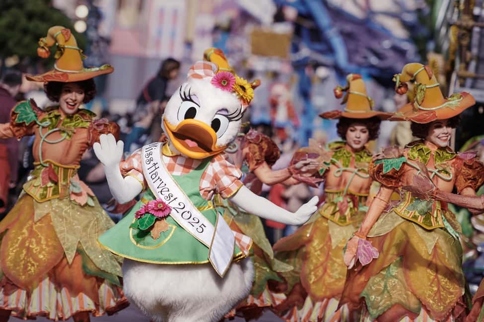 Disneyland® Paris Tickets and Shuttle Transport - Key Points at a Glance