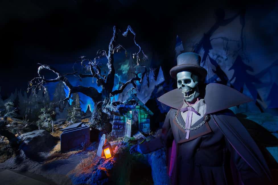Disneyland® Paris Tickets for Train and Parks - Money and Value: What $163 Covers and What’s Extra