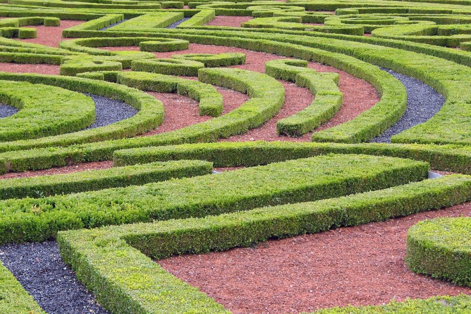 Fontainebleau & Vaux-le-Vicomte Châteaux Day Tour from Paris - Audio Guides Instead of a Live Guide: Good for Pace, Not for Q&A