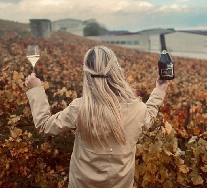 From Paris: Champagne Day Trip with 7 Tastings and Lunch - Price and Value Check: Is $293 Worth It?