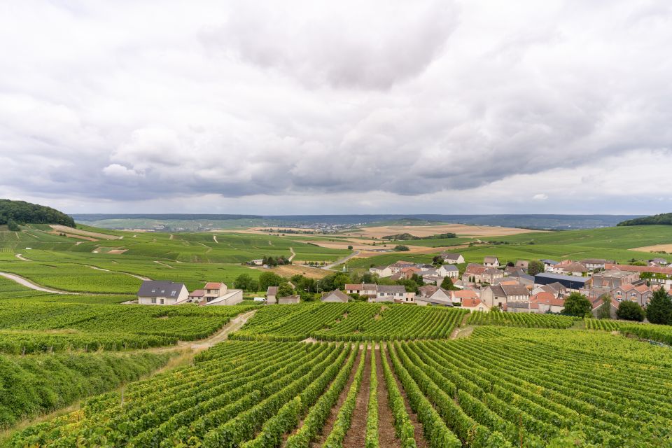 From Paris: Day Trip to Champagne with 8 Tastings & Lunch - Group Size and Comfort: Minivan Reality Checks