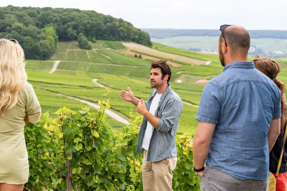 From Paris: Day Trip to Champagne with 8 Tastings & Lunch - Second Producer Visits: Grower Style vs. Large-Scale Style