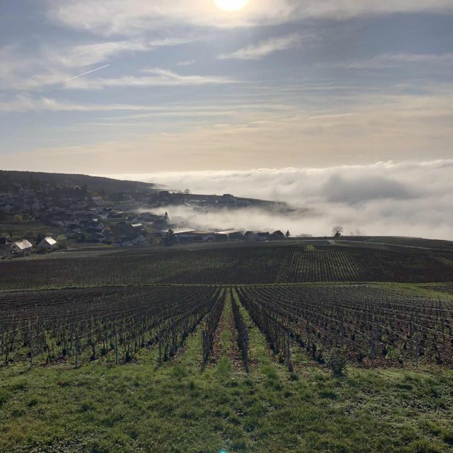 From Paris: Reims and Champagne Tasting Full-Day Tour - The Marne photo stop: a quick breath of the countryside