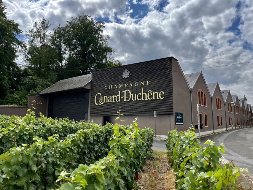 From Paris: Reims and Champagne Tasting Full-Day Tour - Blind tasting in the vineyards: learning what you’re tasting
