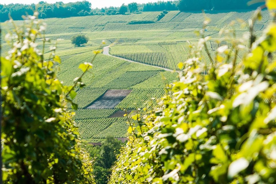 From Paris: Small-Group Champagne Day Trip with Six Tastings - Hautvillers and Dom Pérignon: the chapel stop that makes the lesson stick