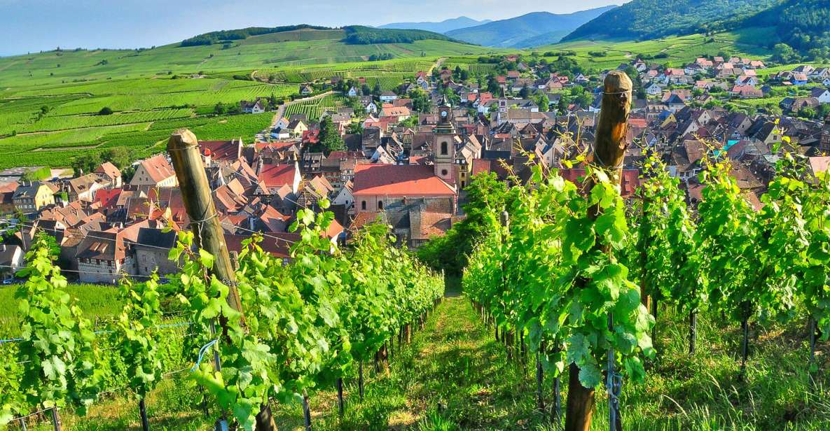 From Paris: Small-Group Champagne Day Trip with Six Tastings - Reims Cathedral of Notre Dame: your first stop in royal France