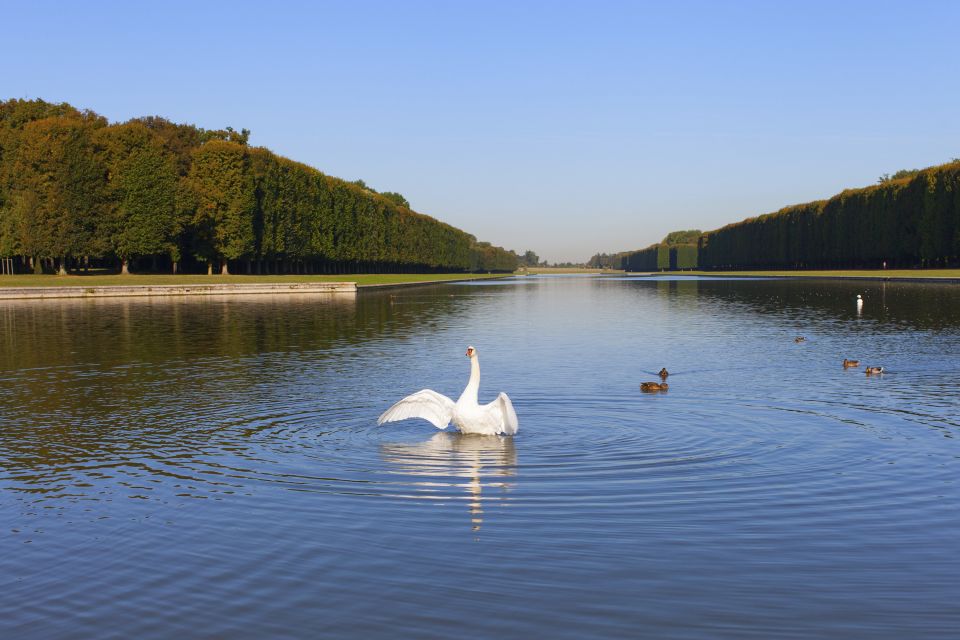 Palace of Versailles Guided Afternoon Tour from Paris - Queen’s Private Apartment: a quieter side of Versailles