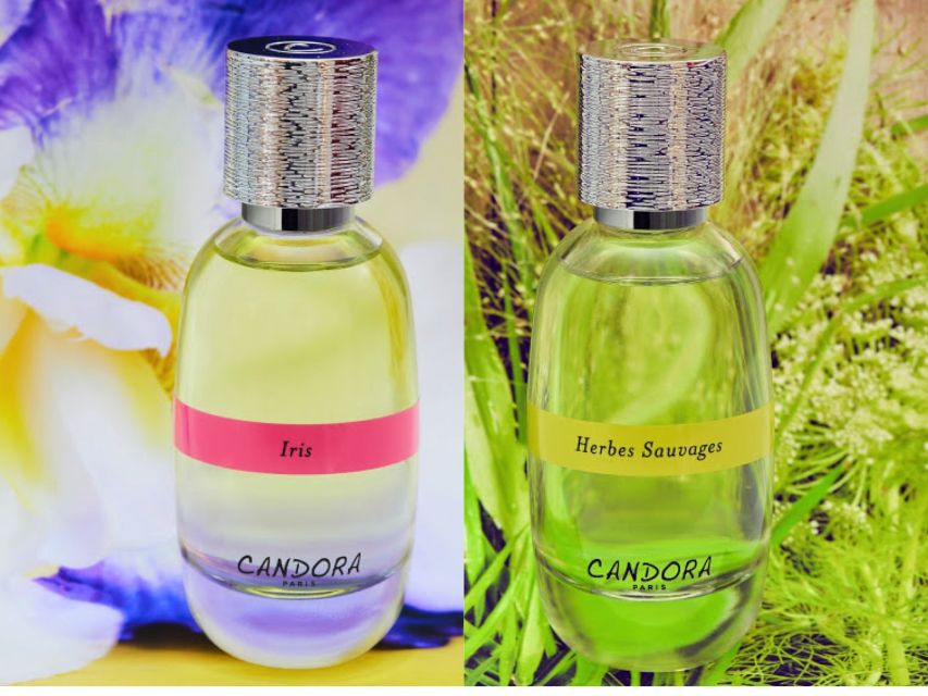 Paris: 2-Hour Perfume Creation Workshop - Paris Perfume Workshop: What Makes It Feel Truly Custom