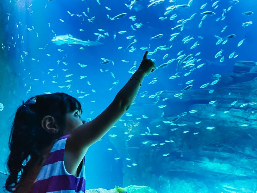 Paris: Aquarium de Paris Entrance Ticket - Key highlights I’d circle before you go