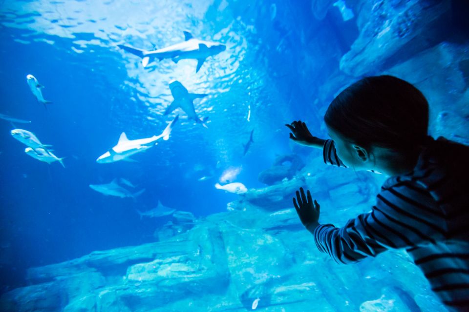 Paris: Aquarium de Paris Entrance Ticket - Entering near Trocadéro: quick arrival, calm start