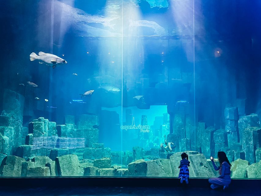 Paris: Aquarium de Paris Entrance Ticket - The touch and feed pool: hands-on fun with real crowd energy
