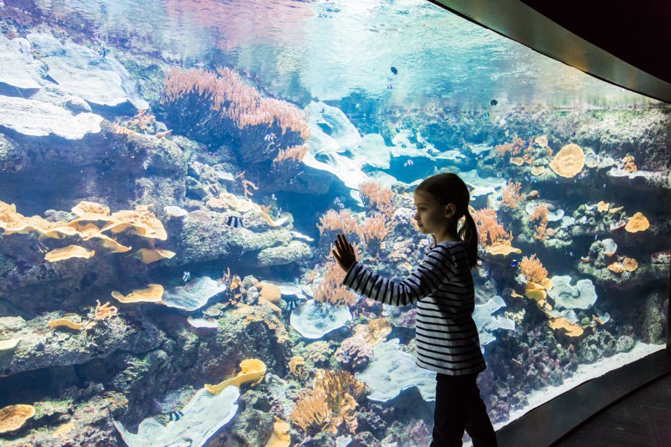 Paris: Aquarium de Paris Entrance Ticket - Shows, workshops, and the cinema program that keeps kids engaged
