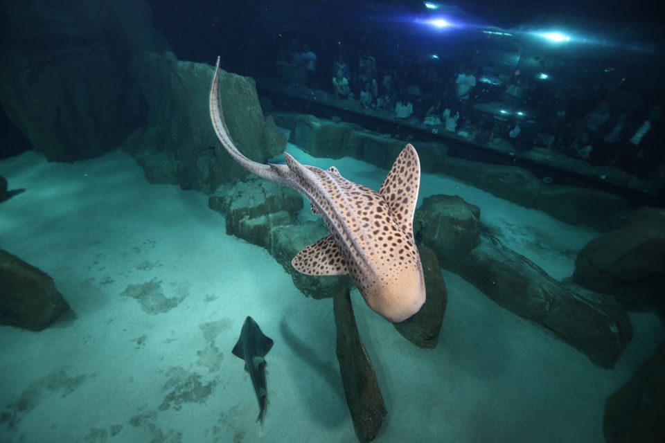 Paris: Aquarium de Paris Entrance Ticket - Price and value: when $25 makes sense and when it doesn’t