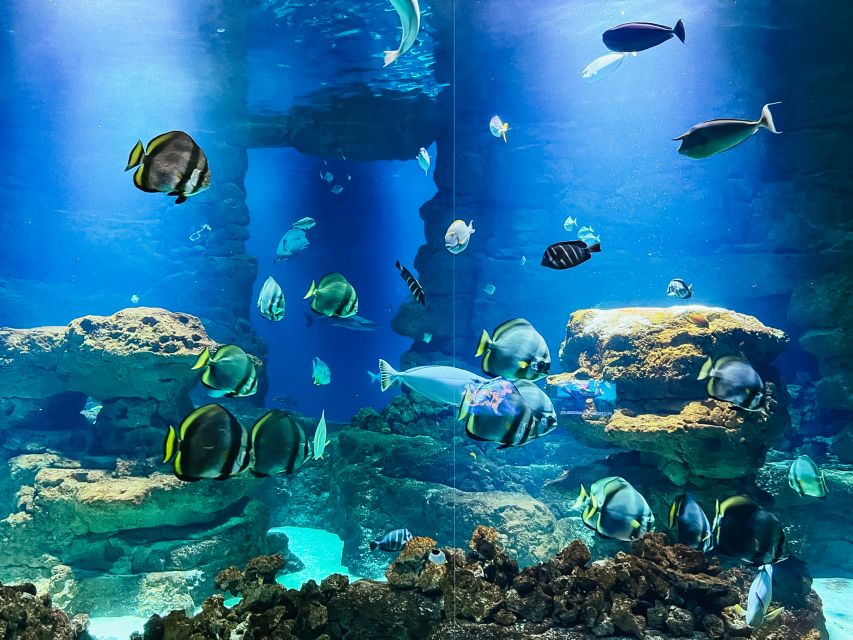 Paris: Aquarium de Paris Entrance Ticket - Practical tips: tickets, water, gift shops, and keeping it smooth