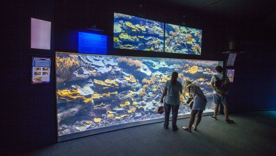 Paris: Aquarium de Paris Entrance Ticket - Who should book Aquarium de Paris, and who might skip it