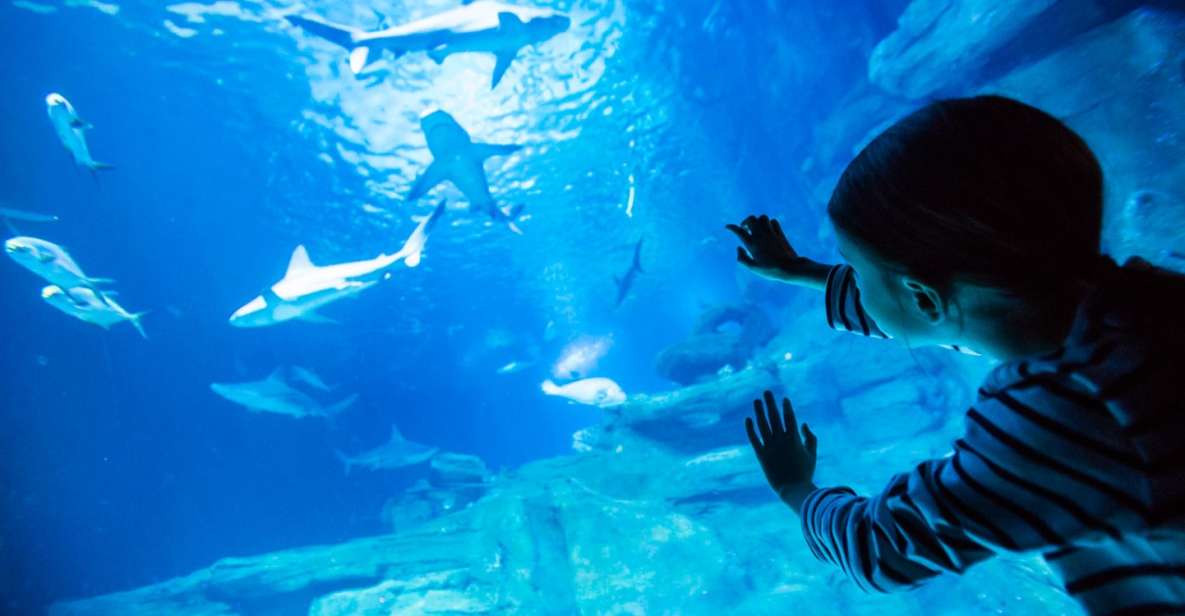 Paris: Aquarium de Paris Entrance Ticket - What you’ll see: sharks, jellyfish, koi, and the big tank walk