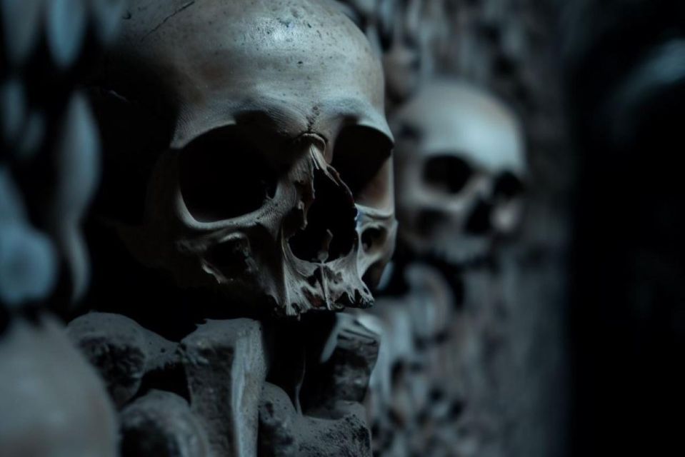 Paris: Catacombs, Audio Guide, and River Cruise Option - Timed entry and your ticket: how to avoid the most common stress point