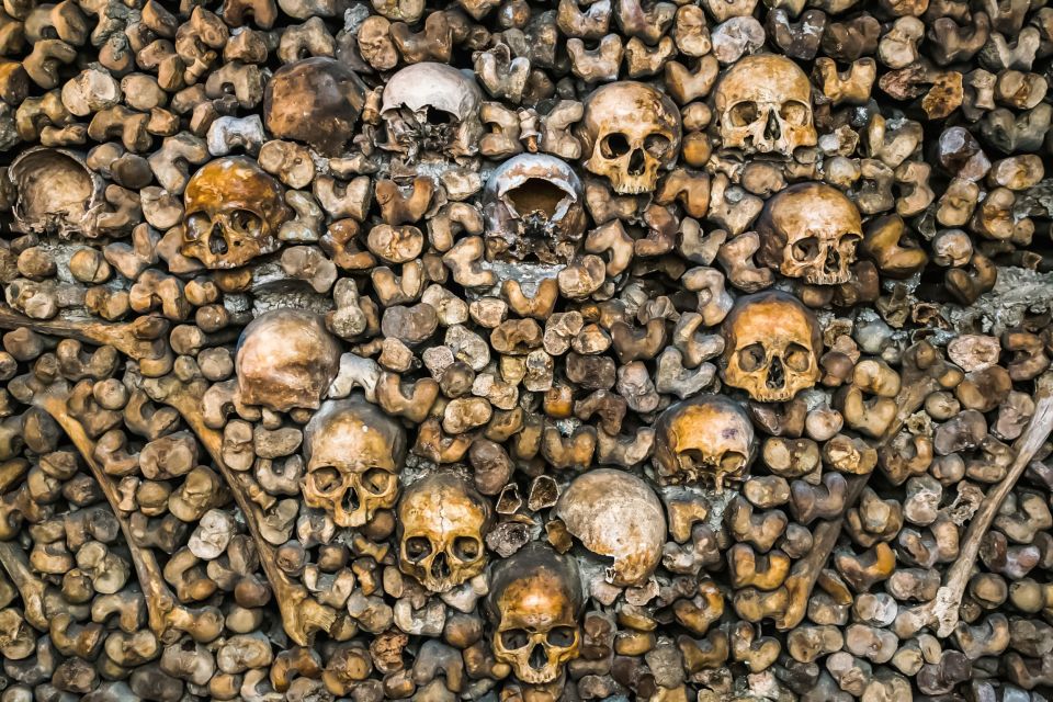 Paris: Catacombs Restricted Access Tour - The guide’s role: stories that make the bones make sense
