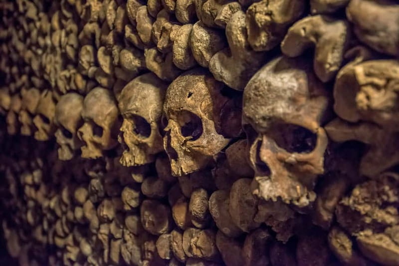 Paris: Catacombs Special Access Tour - The restricted-gates experience in a small group