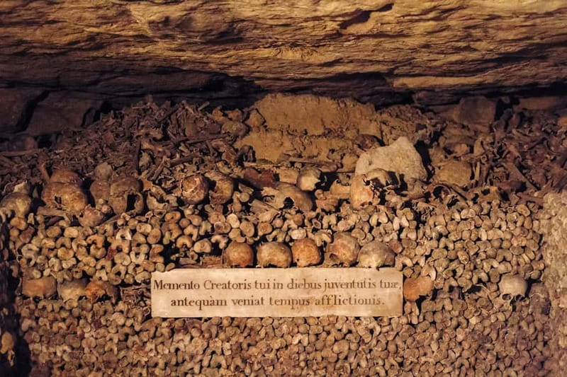 Paris: Catacombs Special Access Tour - Practical logistics: timing, duration, and what to wear