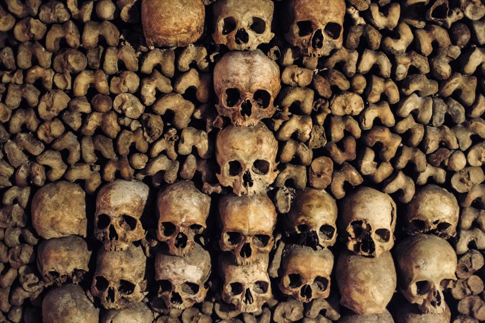 Paris: Catacombs Special Access Tour - Who should book this Catacombs special access tour