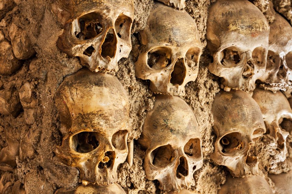 Paris: Catacombs Ticket and Seine River Cruise - Timed entry: how to make the first part painless
