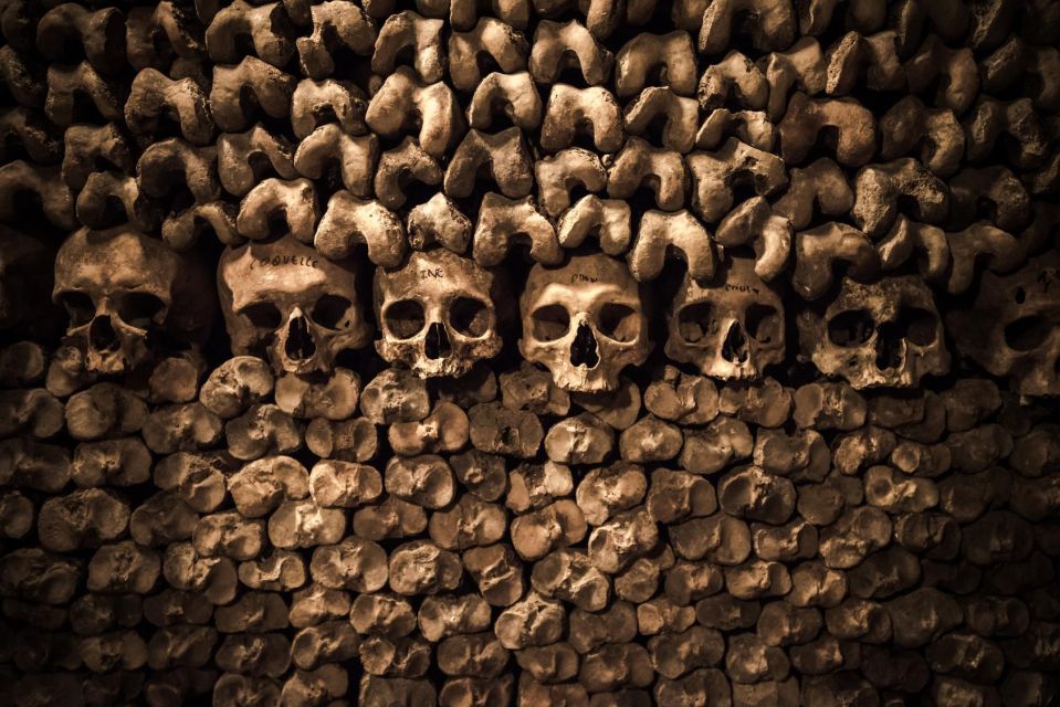 Paris: Catacombs Ticket and Seine River Cruise - After the bones: lining up your Seine cruise for the best light