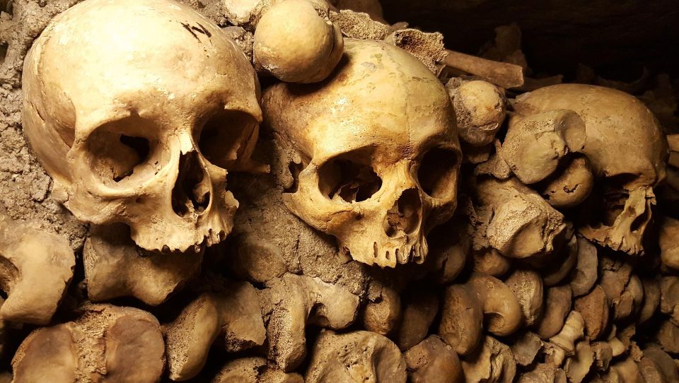 Paris: Catacombs Ticket and Seine River Cruise - Price and value: what you’re really paying for
