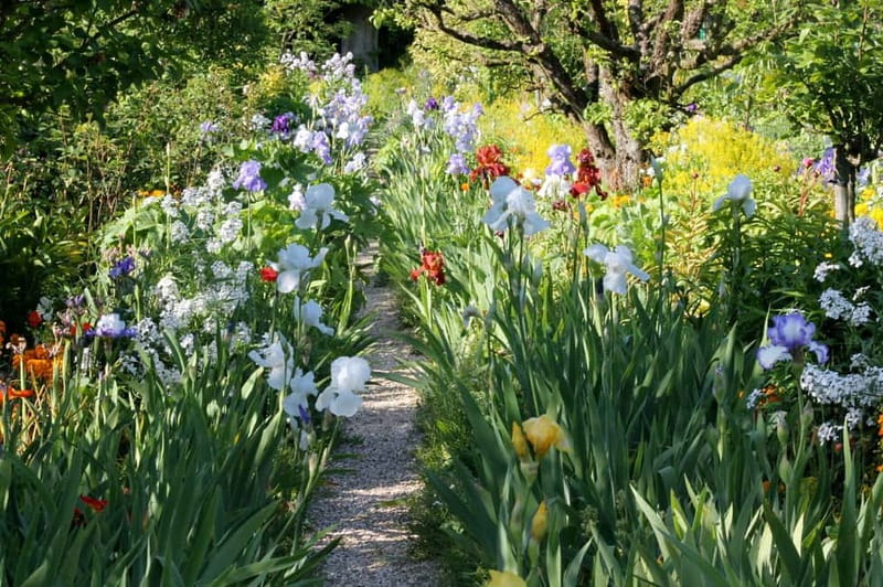 Paris: Giverny Gardens Day Trip with Professional Tour Guide - The countryside drive and what the guide should do for you