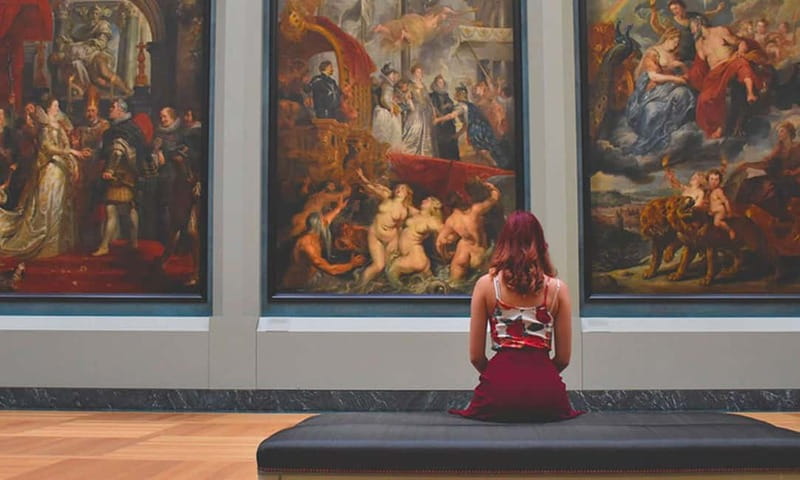 Paris: Louvre Museum Ticket with Audio guide - Priority entry and your phone audio guide: how the experience runs