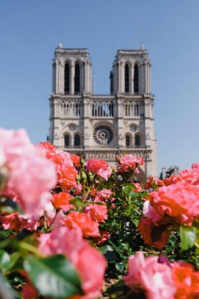 Paris: Notre Dame Exterior Walking Tour with Sainte Chapelle - Notre-Dame Exterior: What You See After the 2019 Roof Fire