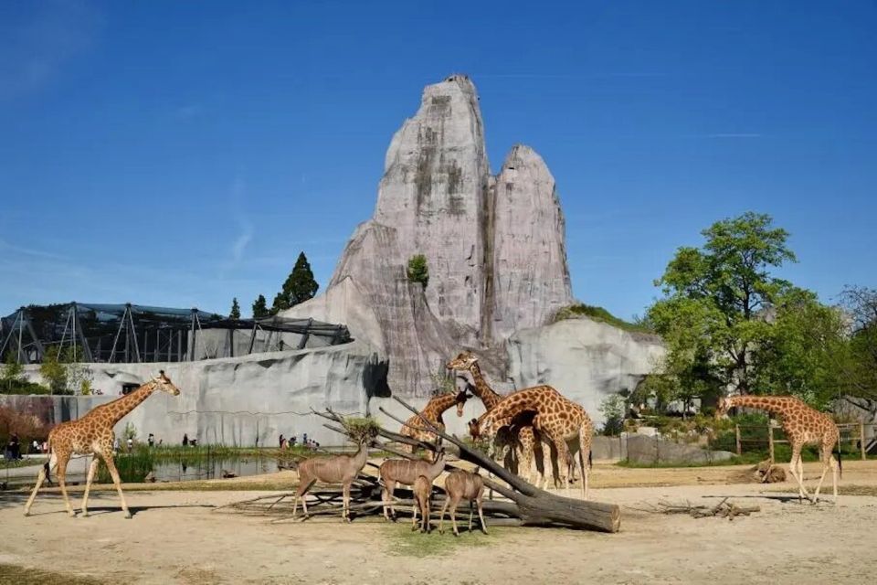 Paris: Paris Zoological Park Entrance Ticket - A World Tour in One Park: How the Biozones Work