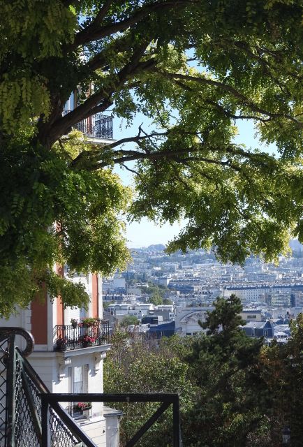 Paris: Sacré-Coeur and Montmartre Tour with Expert Guide - Place du Tertre: make the most of your 20-minute window